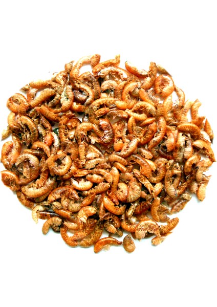 Gammarus 1000 ml Yüksek Protein Sürüngen ve Kaplumbağa Gamarus Yemi