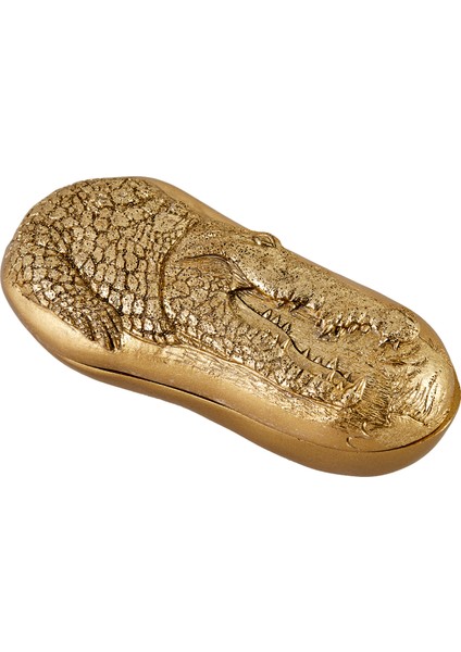 Crocodile Dekoratif Kutu