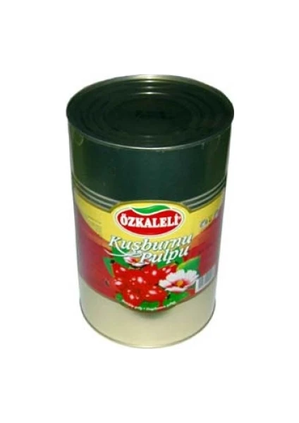 Kuşburnu Pulpu(Şekersiz) 4300 gr