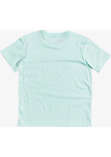 Fizzle Rock Çocuk T-Shirt EQKZT03373-GCZ0