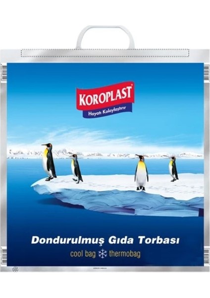 Dondurulmuş Gıda Torbası 5'li 50 x 52 cm