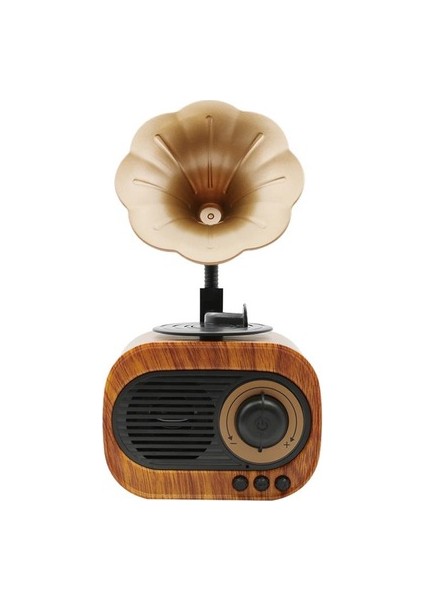 B5 Nostaljik Mini Gramafon Radyo