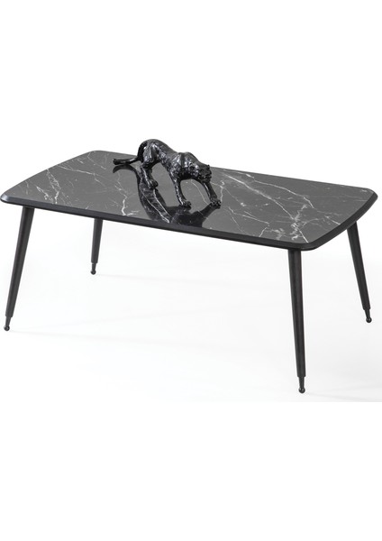 Lüx Ayaklı Orta Sehpa Siyah Mermer 60 x 100 cm A11