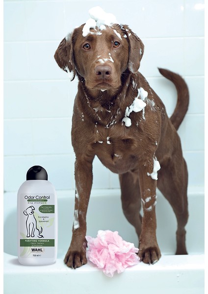 Odor Control 3999-7020 Okaliptüs ve Nane Özlü Koku Giderici 750 ml Köpek Şampuanı