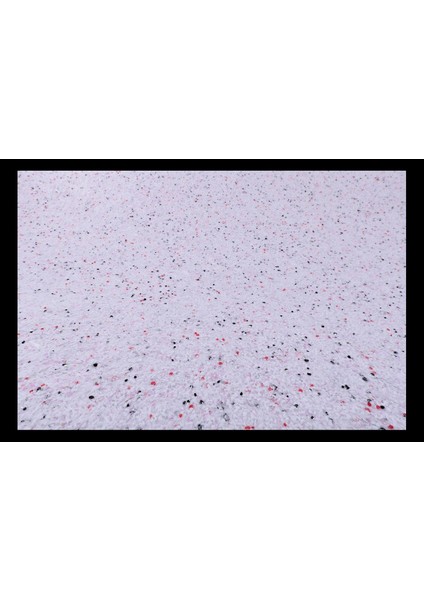 Canlı Sıva İpek Sıva Dekoratif Sıva Sunshine 22 Beyaz Zemin Koyu Mor-Fuşya-Lila Desen