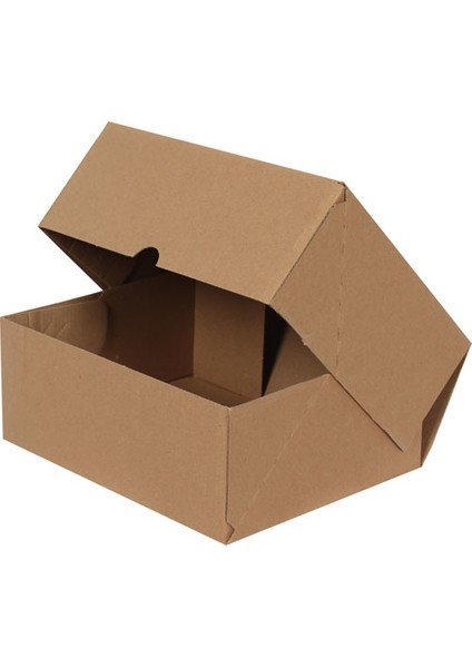 Standart E-Ticaret Kargo Kutusu 25 x 20 x 10 cm 25'li