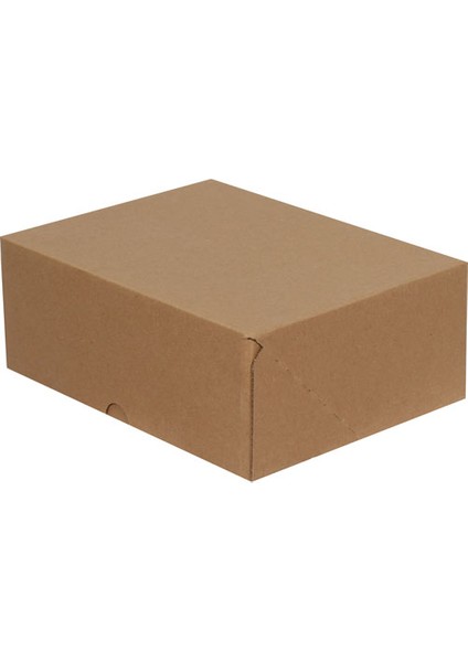 Standart E-Ticaret Kargo Kutusu 25 x 20 x 10 cm 25'li