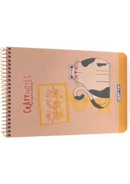 1786 Craft Notes Kedili A5 Kareli 100 Yaprak Defter