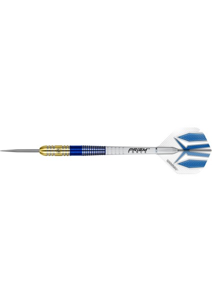 Steve Beaton 22 gr Dart Oku