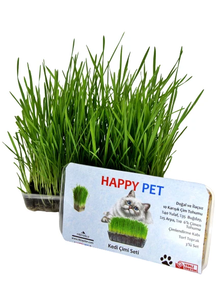 Happy Pet Kedi Çimi Seti KEdi Otu Ek Vitamin Mineral