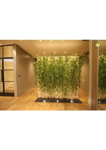 Yapay Bambu Sopası 21 Yapraklı 240 cm Yapay Çiçek Bambu Duvarı
