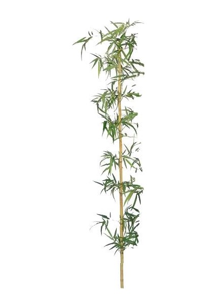 Yapay Bambu Sopası 21 Yapraklı 240 cm Yapay Çiçek Bambu Duvarı