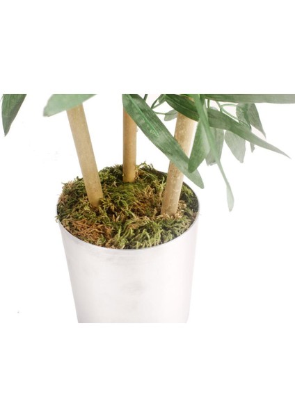 Yapay Çiçek Yapay Bambu Ağacı Paslanmaz Aleminyum Saksılı 80 cm