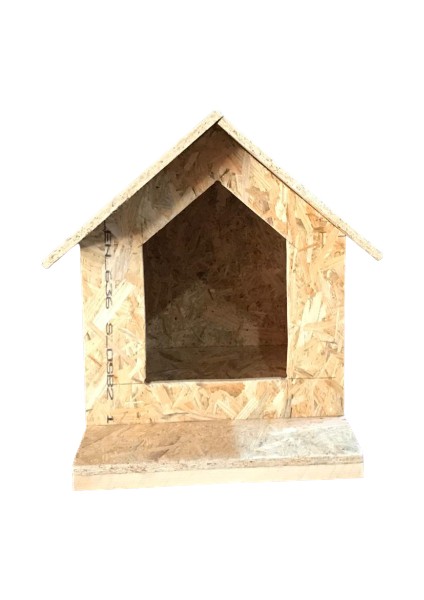 Kedi Evi-Barınak-Kedi Klubesi-Yuva