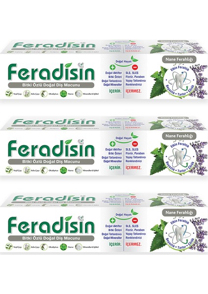 Nane Ferahlığı Diş Macunu (75ml x 3)