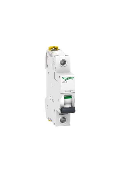 1X2A 6Ka C Tipi İc60N Otomat