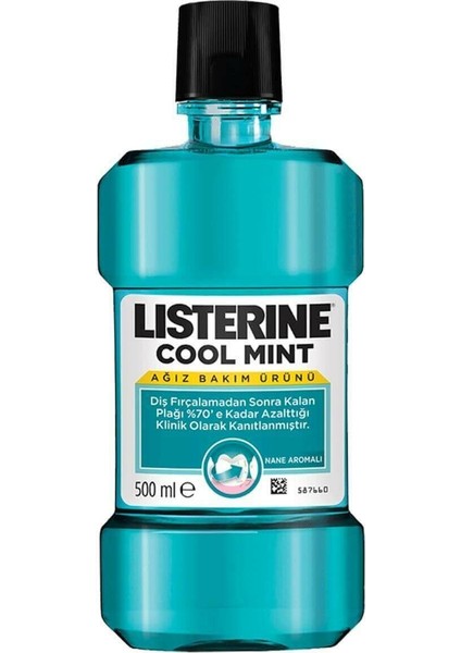 Cool Mint 250 ml
