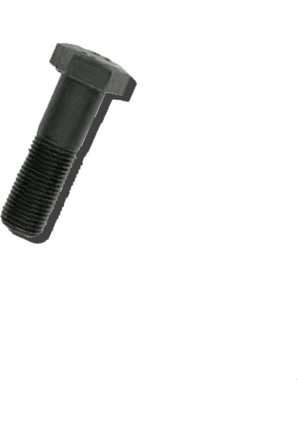 1/2" x 2-1/2" Withwort Civata 10'lu