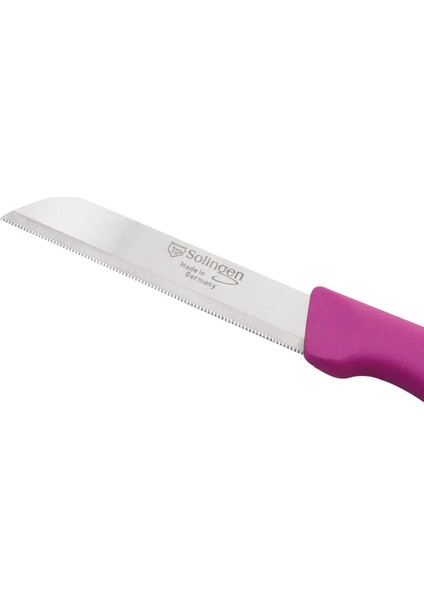 Delik Saplı Meyve Bıçağı 4'lü Takım-Pembe