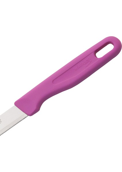 Delik Saplı Meyve Bıçağı 4'lü Takım-Pembe