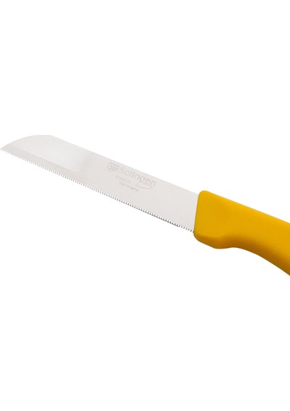 Delik Saplı Meyve Bıçağı 4'lü Takım-Sarı modelleri