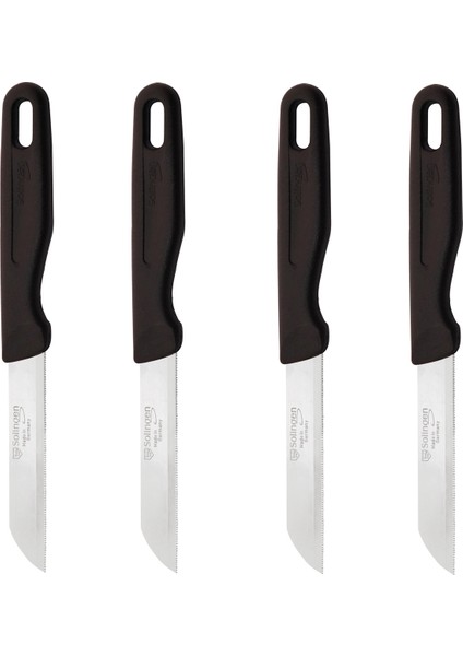 Delik Saplı Meyve Bıçağı 4'lü Takım-Siyah