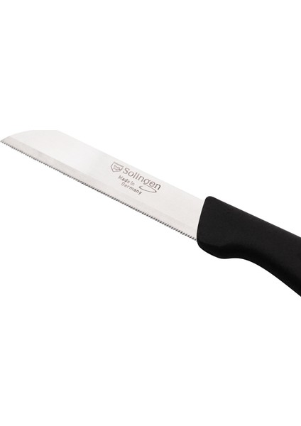 Delik Saplı Meyve Bıçağı 4'lü Takım-Siyah modelleri