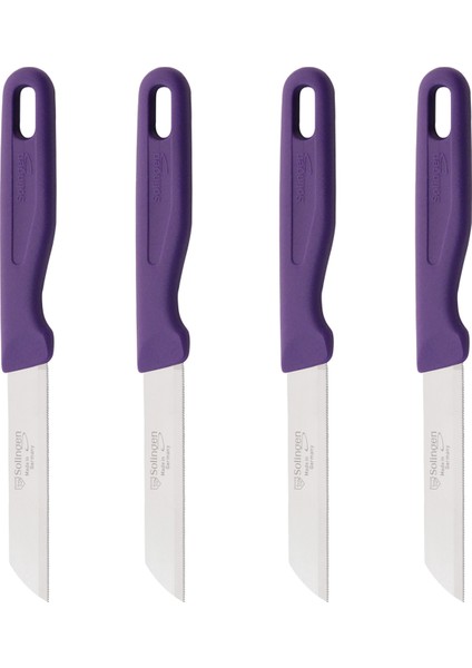 Delik Saplı Meyve Bıçağı 4'lü Takım - Mor