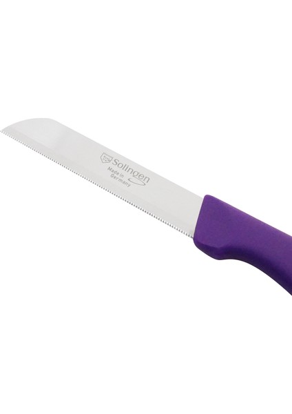 Delik Saplı Meyve Bıçağı 4'lü Takım - Mor modelleri