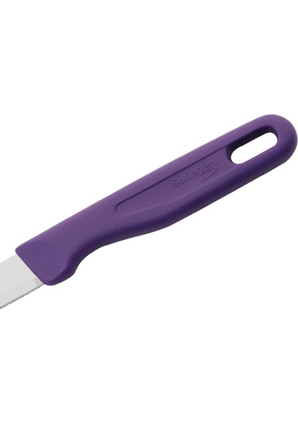 Delik Saplı Meyve Bıçağı 4'lü Takım - Mor fırsatları