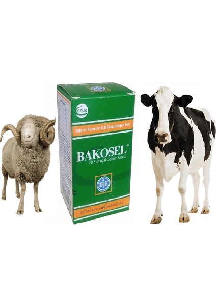 Bakosel 50 Yumuşak Jelatin Kapsül Vitamin Mineral
