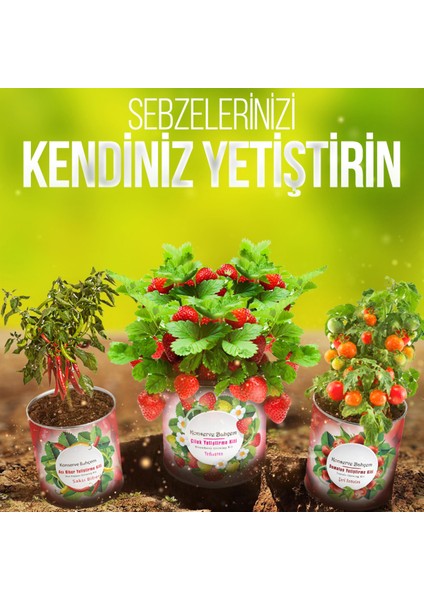 Fesleğen Yetiştirme Kiti