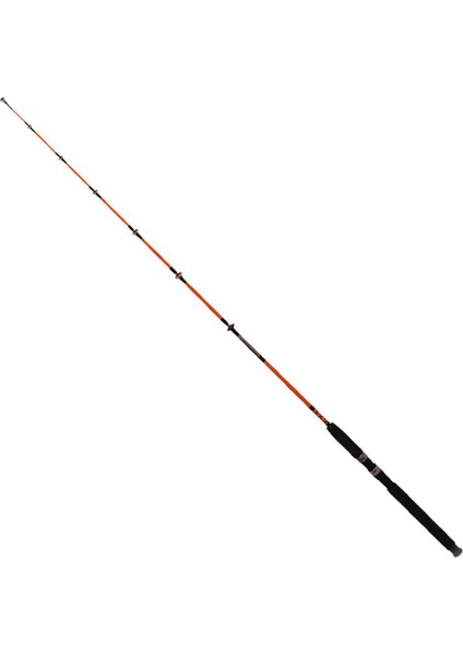 Pagrus 180CM 60-120GR 2p Bot Kamışı