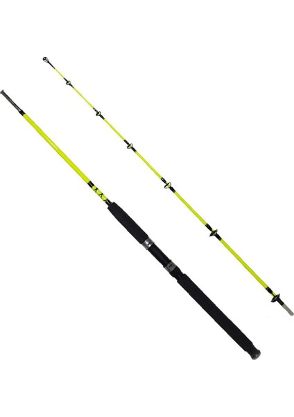 Pagrus 180CM 60-120GR 2p Bot Kamışı