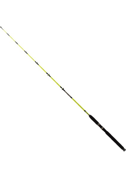 Pagrus 180CM 60-120GR 2p Bot Kamışı