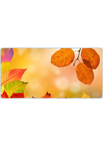 Kaymaz Deri Taban Tezgah Önü Mutfak Paspası 75 x 150 cm No: 194 fiyatları