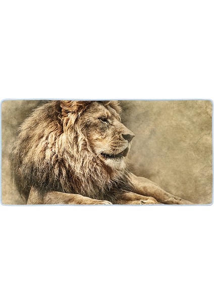 Kaymaz Deri Taban Tezgah Önü Mutfak Paspası 75 x 150 cm No: 445 fiyatları