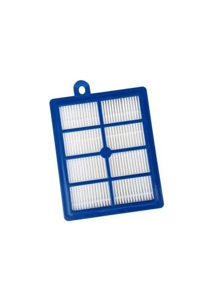 Philips Fc 9225 Marathon Hepa Filtre