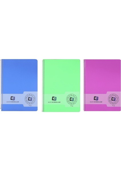 Scholler Spiralli PP Kapak Defter A4 120 Yaprak Kareli 3'lü