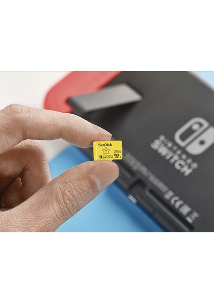 256GB Micro SD XC Uhs-I Nintendo Switch Hafıza Kartı - SDSQXAO-256G-GNCZN (Yurt Dışından)