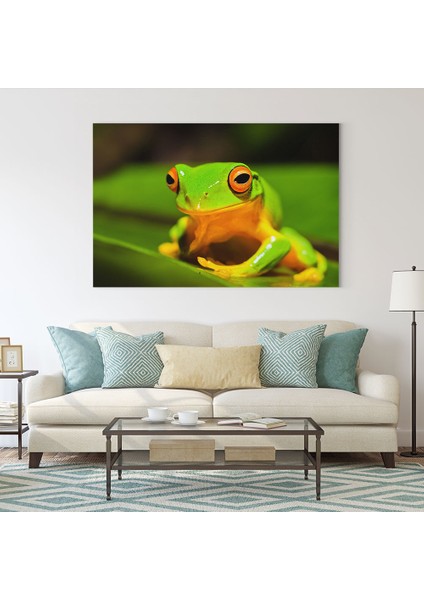 Yaprakta Kurbağa Tablosu fiyatları