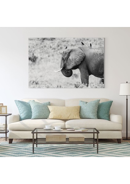 Siyah Beyaz Fil Tablosu fiyatları