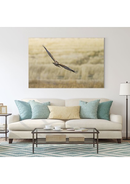 Uçan Baykuş Tablosu fiyatları