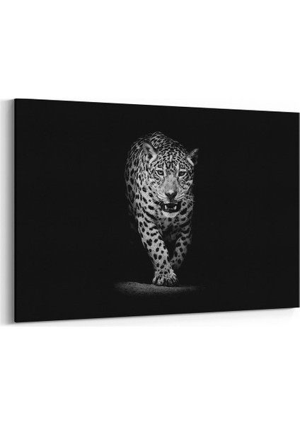 Leopar Tablosu