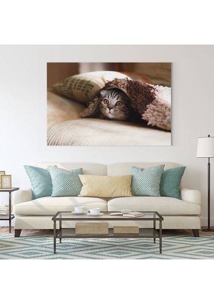 Yavru Kedi Tablosu fiyatları