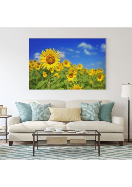 Ay Çiçekleri Tablosu fiyatları