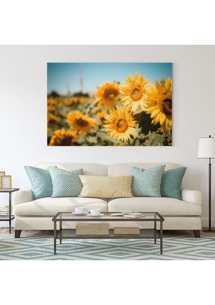 Ay Çiçekleri Tablosu fiyatları