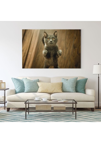 Şaşkın Kedi Tablosu fiyatları