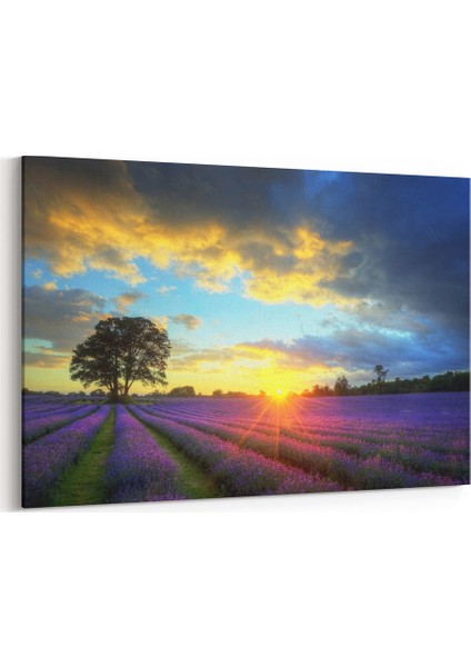 Gün Batımı Tablosu