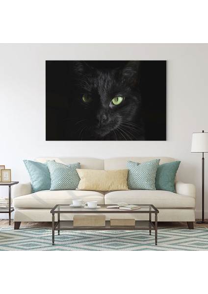 Siyah Kedi Tablosu fiyatları